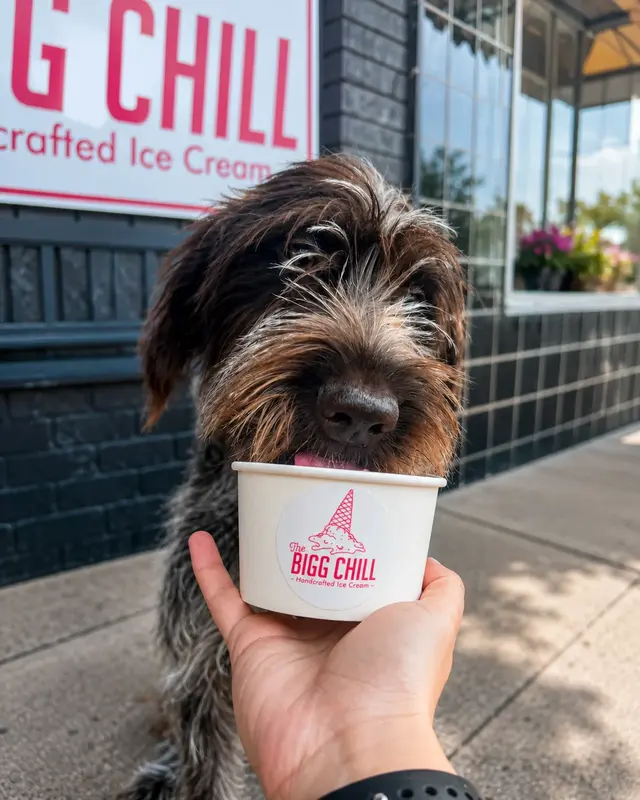 The Bigg Chill community event in downtown Cody, Wyoming