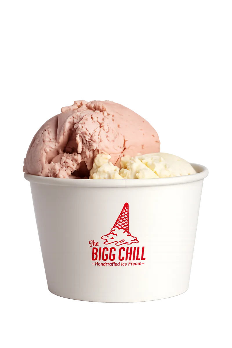The Bigg Chill ice cream cup